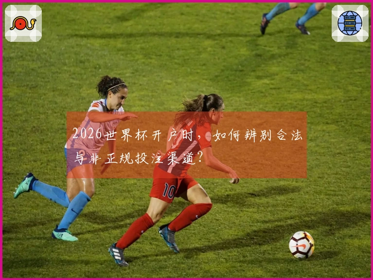 2026世界杯开户时，如何辨别合法与非正规投注渠道？