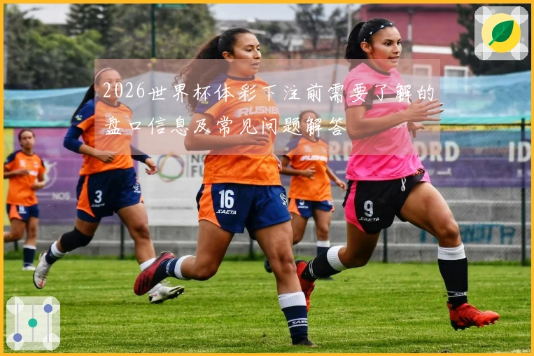 2026世界杯体彩下注前需要了解的盘口信息及常见问题解答