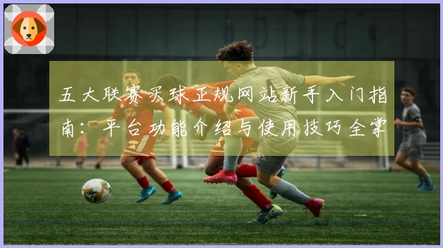 五大联赛买球正规网站新手入门指南：平台功能介绍与使用技巧全掌握