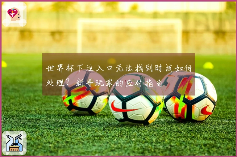世界杯下注入口无法找到时该如何处理？新手玩家的应对指南