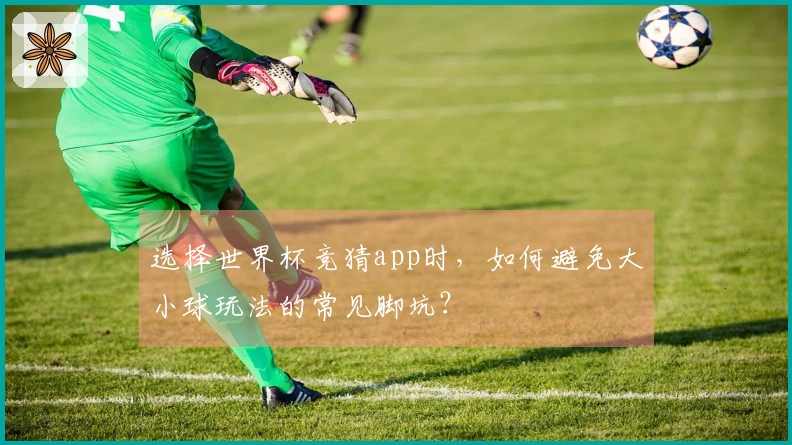 选择世界杯竞猜app时，如何避免大小球玩法的常见脚坑？