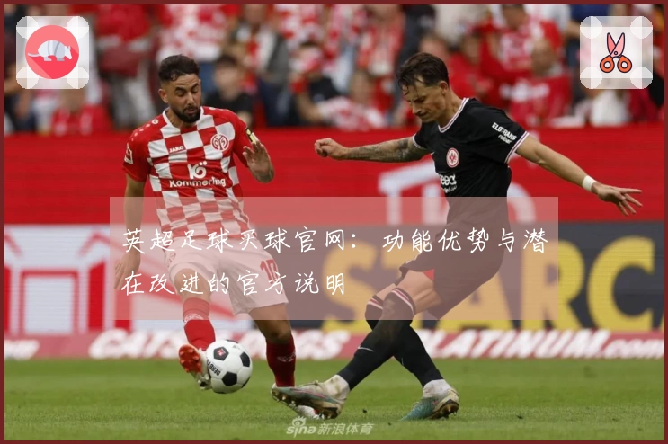 英超足球买球官网：功能优势与潜在改进的官方说明