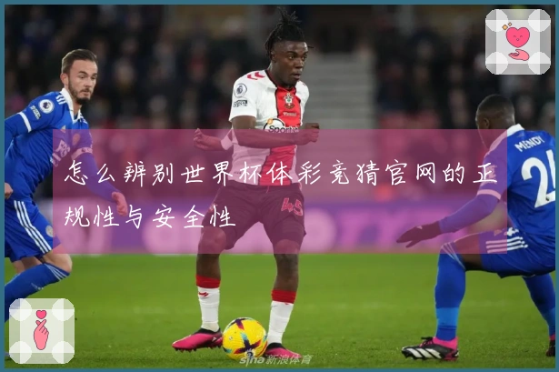 怎么辨别世界杯体彩竞猜官网的正规性与安全性