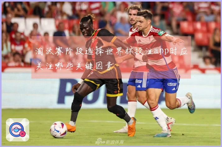 淘汰赛阶段选择世界杯投注app时应关注哪些关键因素