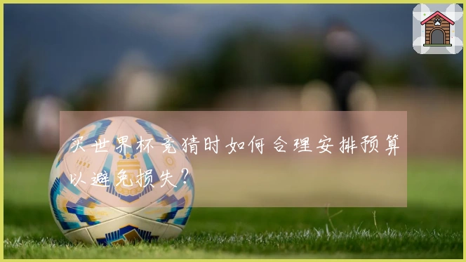 买世界杯竞猜时如何合理安排预算以避免损失？