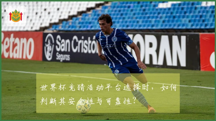 世界杯竞猜活动平台选择时,如何判断其安全性与可靠性?