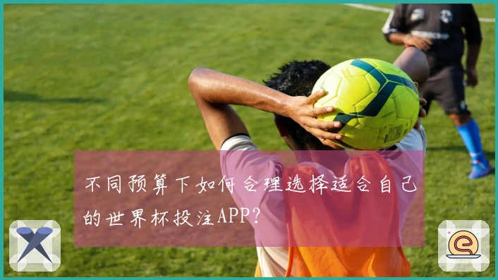 不同预算下如何合理选择适合自己的世界杯投注APP？