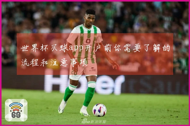 世界杯买球app开户前你需要了解的流程和注意事项