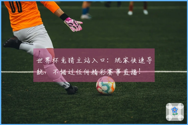 世界杯竞猜主站入口：玩家快速导航，不错过任何精彩赛事直播！