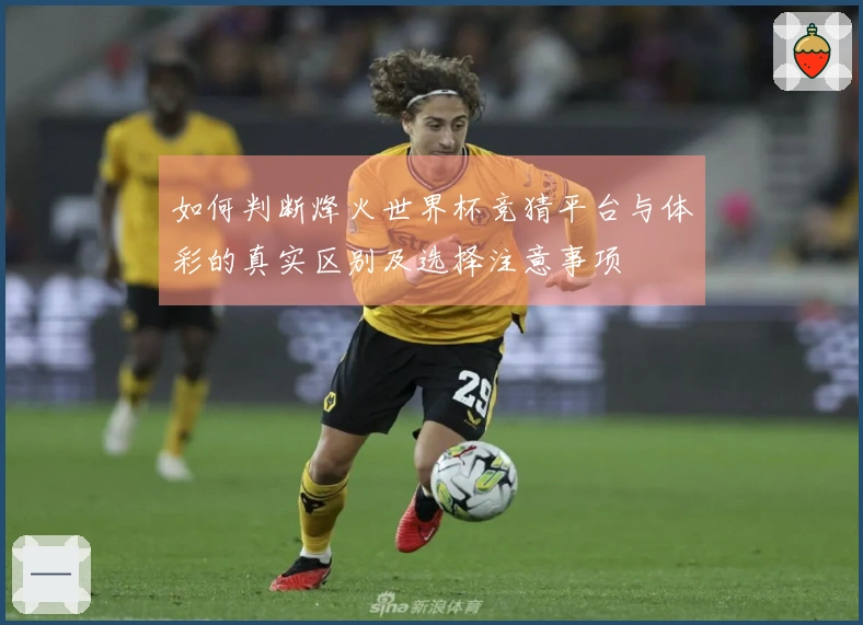 如何判断烽火世界杯竞猜平台与体彩的真实区别及选择注意事项