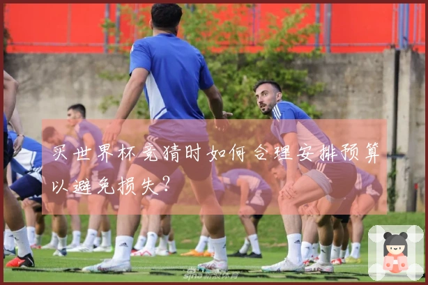买世界杯竞猜时如何合理安排预算以避免损失？