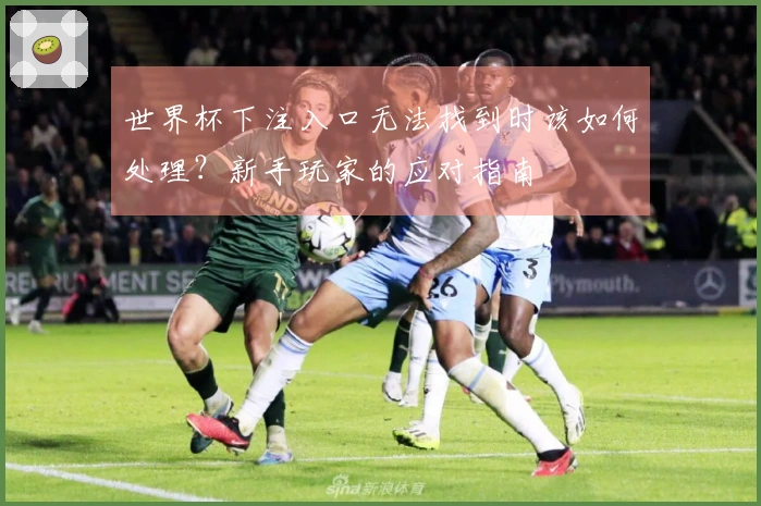 世界杯下注入口无法找到时该如何处理？新手玩家的应对指南